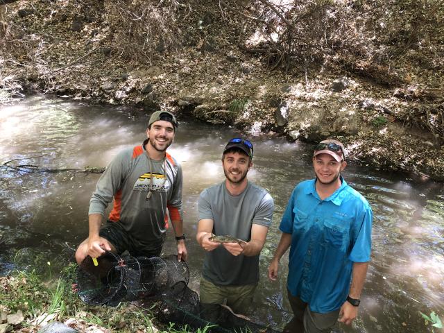 Three people standing in a creek. One person is holding a unique looking fish trap and another is holding a fish with both hands