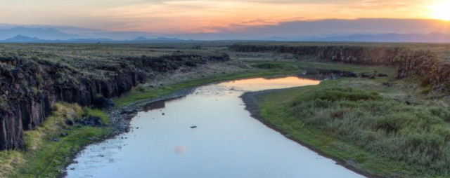 River flowing along vegetation.