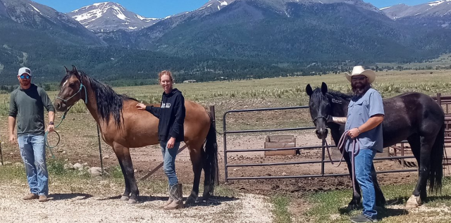 Three people stand beside two horses. 