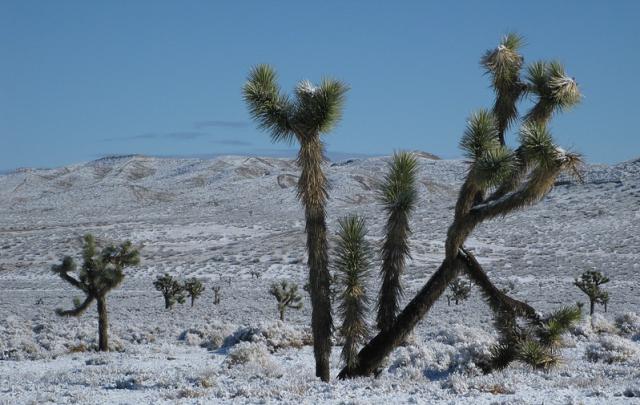 El Mirage OHV Area