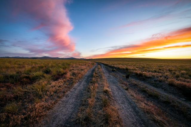 Road in Bruneau Field Office