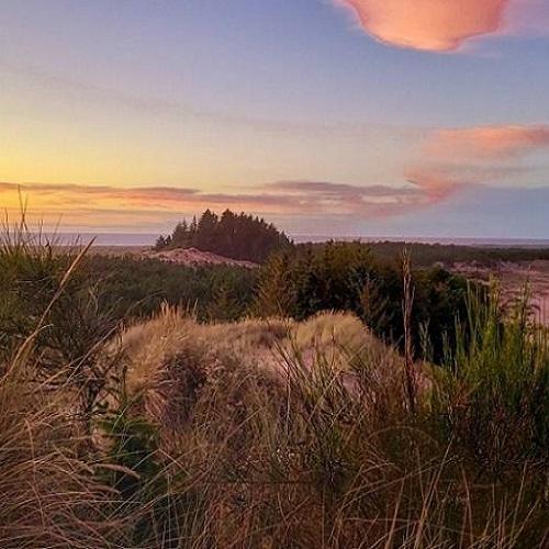 sunset over sand dunes on the North Spit