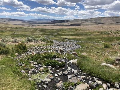 A creek bed meandering through a grassy tundra.