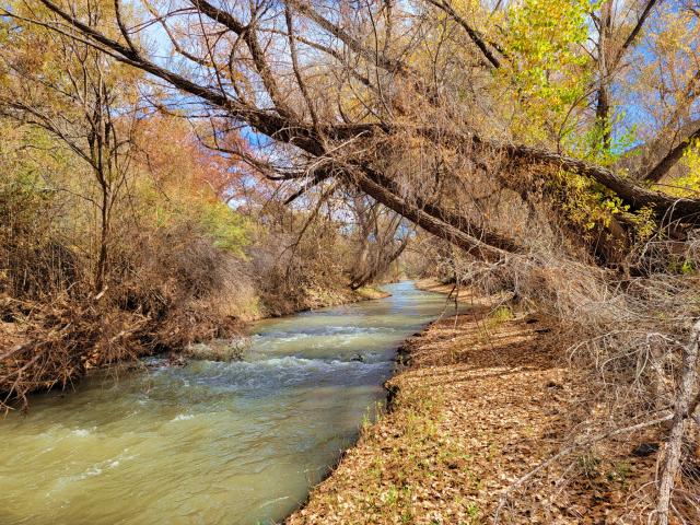 Gila Lower Box Canyon Recreation Area