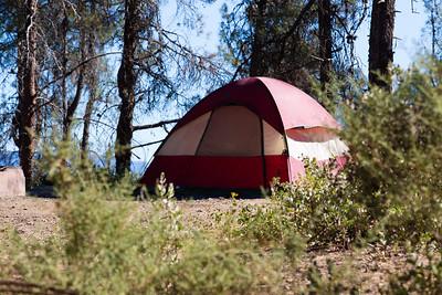 Tent in a forest .