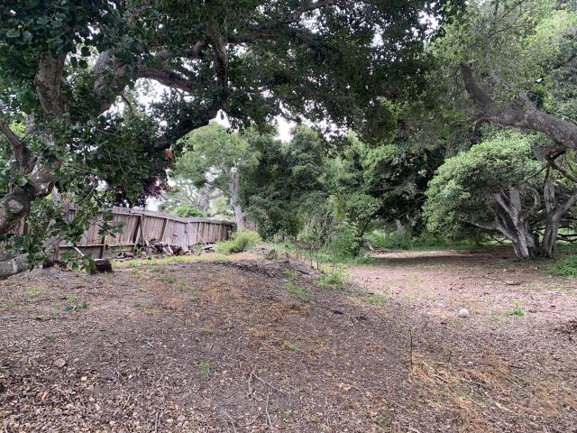 an area cleared of fuels  next to a fence and house