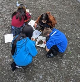 School students huddle around a tray filled with water, sand, and pebbles looking for aquatic insects during a watershed study. BLM photo, A. Runde