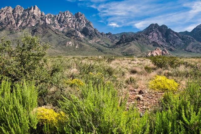 Photo of Organ Mountains