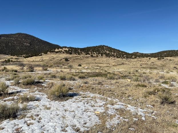 A landscape with some grasses and snow. 