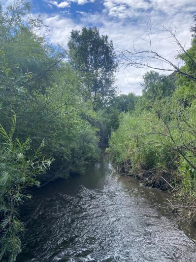 Photo of the Rio Bonito