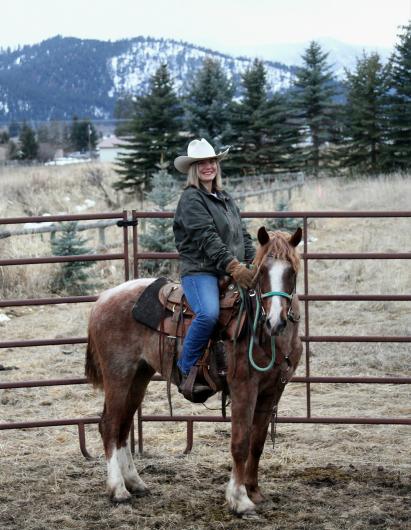 Rider on a brown horse in a pen