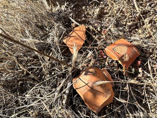 Surface artifacts found in China Town in the old mining town of Silver Reef, Utah.