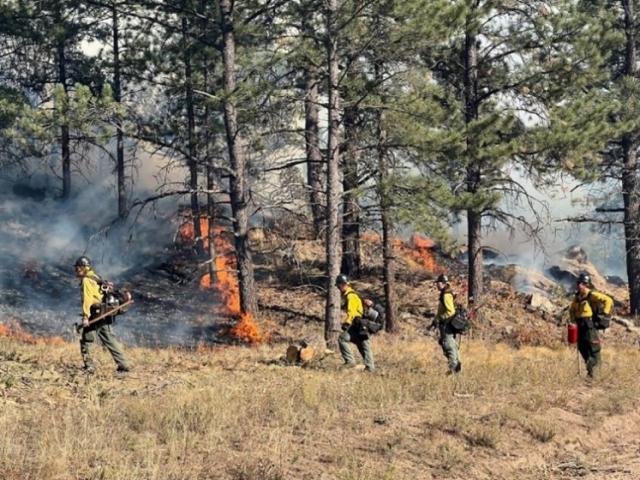 Several people in firefighter uniforms lighting grasses on fire for fuels reductions. 