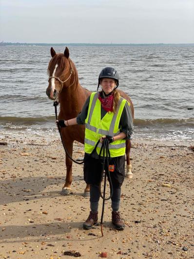 A horse and girl on the beach