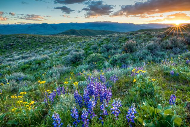 The Lemhi Pass in Idaho, where Lewis and Clark crossed over the Continental Divide in 1805.