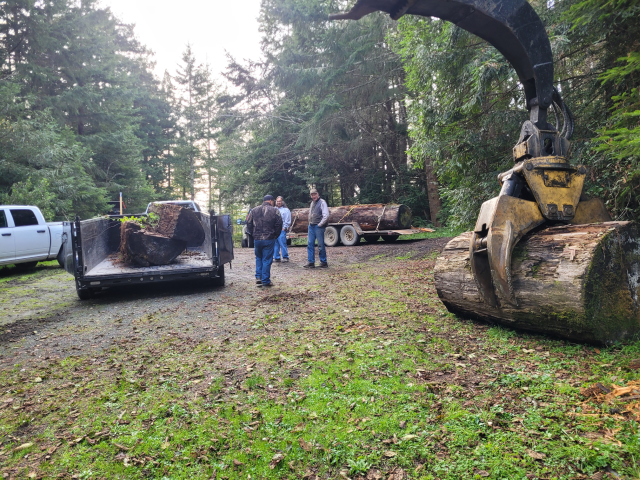 Hauling a log for construction in Headwaters Reserve. BLM Photo.