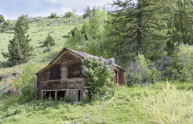 Abandoned building in the historic site of Silver City Idaho