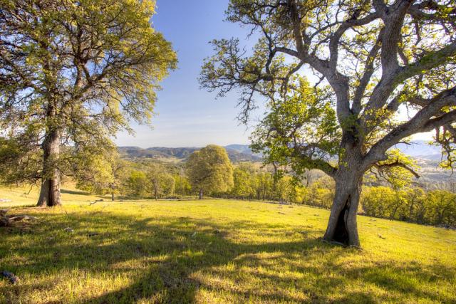 Bright green grasses and valley oaks frame a view of the cabin.