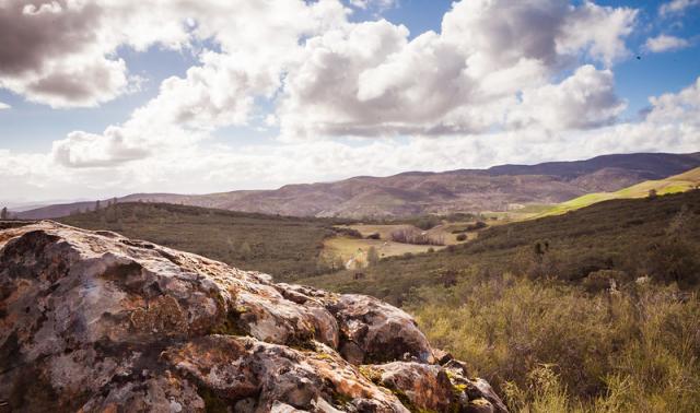 a chapparal  covered land scape with low clouds  and a boulder in the foreground.