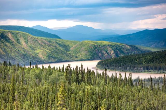 A bend in the Yukon River is surrounded by forested hills with mountains in the distance. 