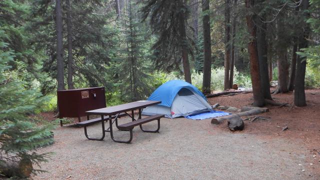 Campsite in Oh Be Joyful Campground, Gunnison Field Office, CO