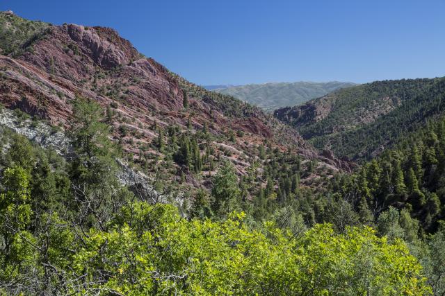 A mountain ridge with nearby lush vegetation. 