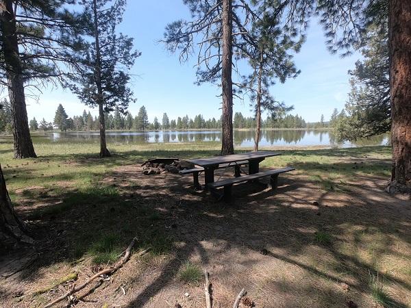 view of campground with fir trees, water, picnic table, and fire pit