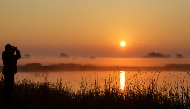 a man watches a sunset near a pond