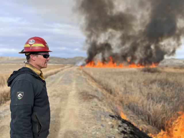 A person wearing a red hardhat watches dead cattails burn from a dirt road.