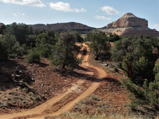 Canyon Rims travel management area with dirt roads.