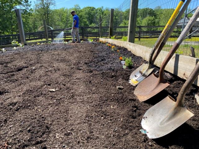 4 shovels are seen resting against the side wall of a community garden, as a BLM ranger waters the garden in the background. 