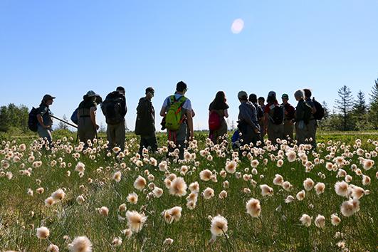 14 kids walk through a field at Nest Island in Alaska