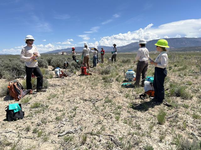 a crew prepares to spray weeds