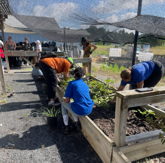 Four people work around a planter.