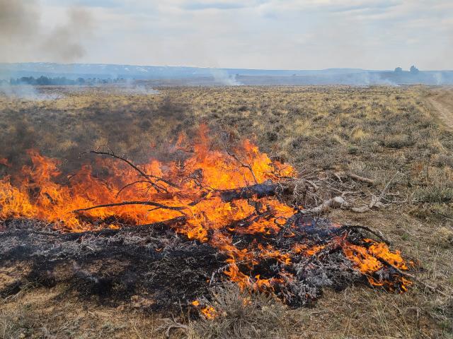 a burning juniper pile