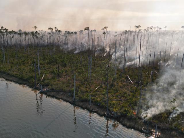 smoke rises from a bayou in Florida 