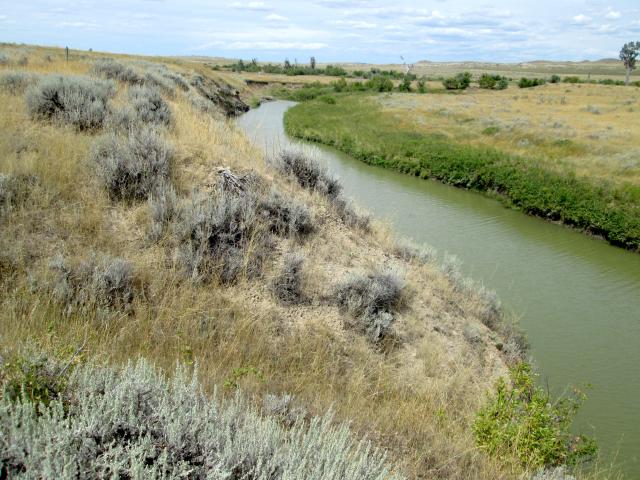 A section of Box Elder Creek. The photo shows how the creek has become incised due to historic homesteading practices, overgrazing, and the removal of beaver.