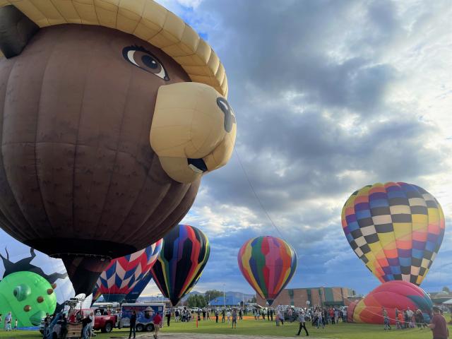 a wide angle view of Smokey Bear in hot air balloon form, surrounded by other hot air balloons