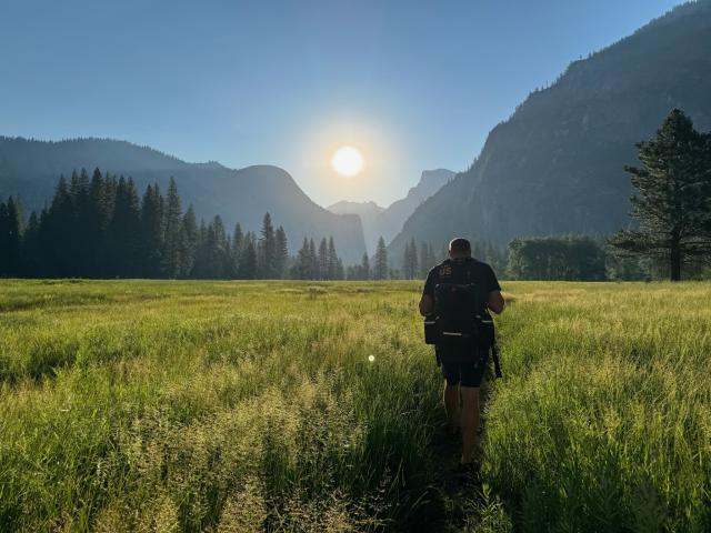 A person walks through tall green grass with rugged mountains in the background