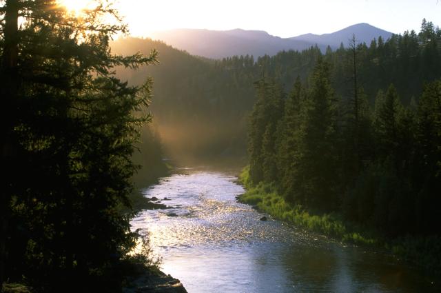 sun setting behind the trees while looking down a river