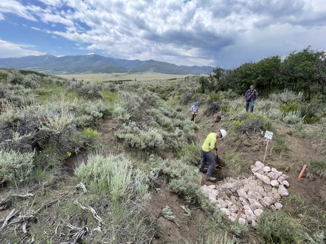 Historically, the Gunnison sage-grouse has had a presence near Poncha Pass at the north end of Colorado’s San Luis Valley. Recent efforts have sought to repopulate the area with the threatened species, with significant work aimed toward habitat restoration as seen here.