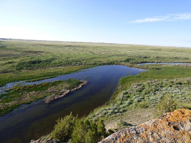 a green landscape with a creek flowing through