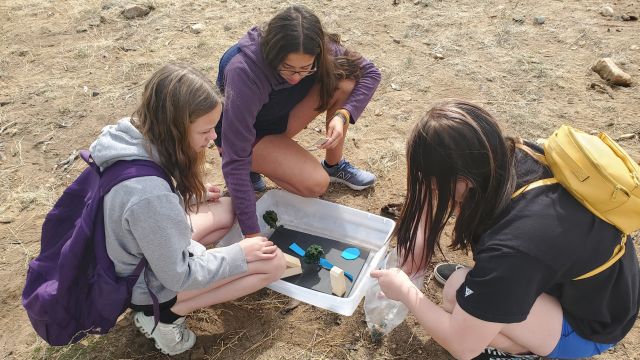 Three children gather around a science experiment in a plastic container.