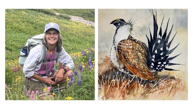 Side by side of Suzanne Jackson crouching in a field with flowers and a water color painting of a sage grouse by Jackson