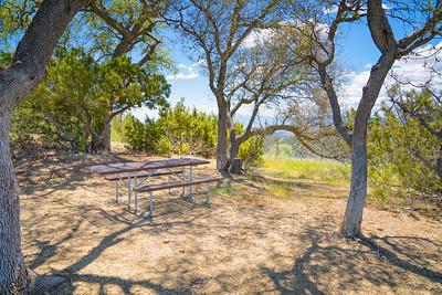 A picnic table surrounded by oaks at the top of a hill