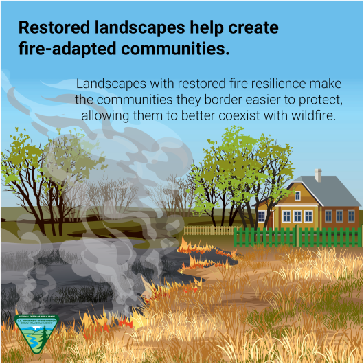 Graphic of a creeping grass fire near a house. Text reads: Restored landscapes help create fire-adapted communities. Landscapes with restored fire resilience make the communities they border easier to protect, allowing them to better coexist with wildfire. The BLM logo appears in the lower left hand corner.