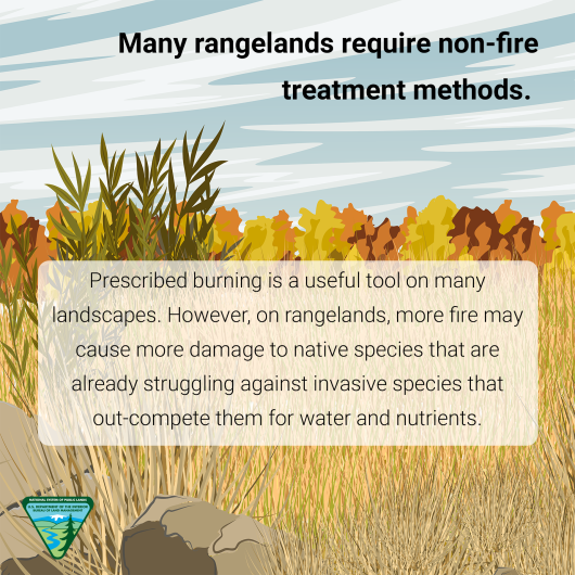 Graphic of a grassy, shrubby landscape. Text reads: Many rangelands require non-fire treatment methods. Prescribed burning is a useful tool on many landscapes. However, on rangelands, more fire may cause more damage to native species that are already struggling against invasive species that out-compete them for water and nutrients. The BLM logo appears in the lower left hand corner.