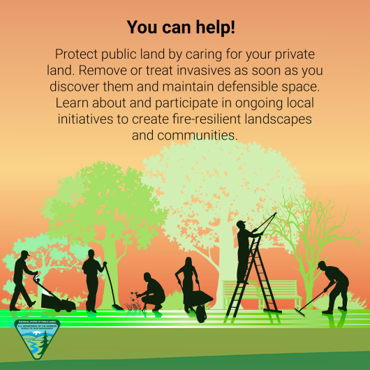 Graphic of six people engaged in landscaping tasks. Text reads: You can help! Protect public land by caring for your private land. Remove or treat invasives as soon as you discover them and maintain defensible space. Learn about and participate in ongoing local initiatives to create fire-resilient landscapes and communities. The BLM logo appears in the lower left hand corner.