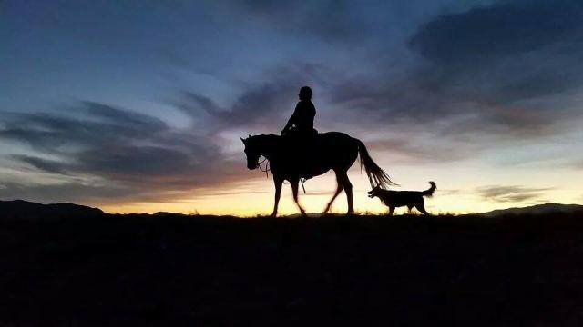 A twilight silhouette of a lone rider on horseback with a canine companion.