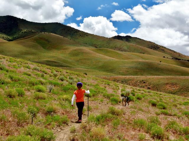 A child wearing a sun hat and hiking pole follows behind a dog towards a green hilly landscape.